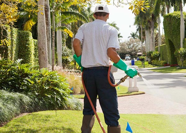 About Carthage NY Pest Control